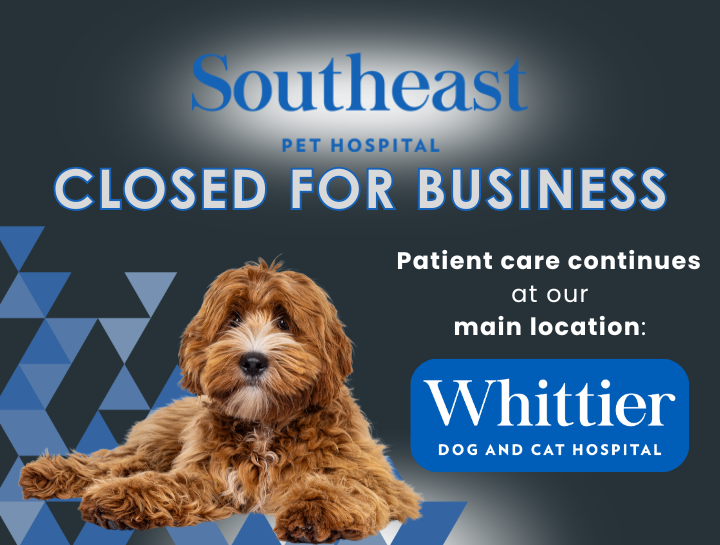 Important Announcement: Closure of Southeast Pet Hospital
